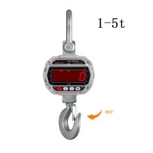 SiGMA OCS-D - 5 Ton Crane Scale